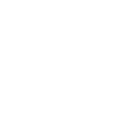 Magefesa_icon_logo_seguridad_blanco